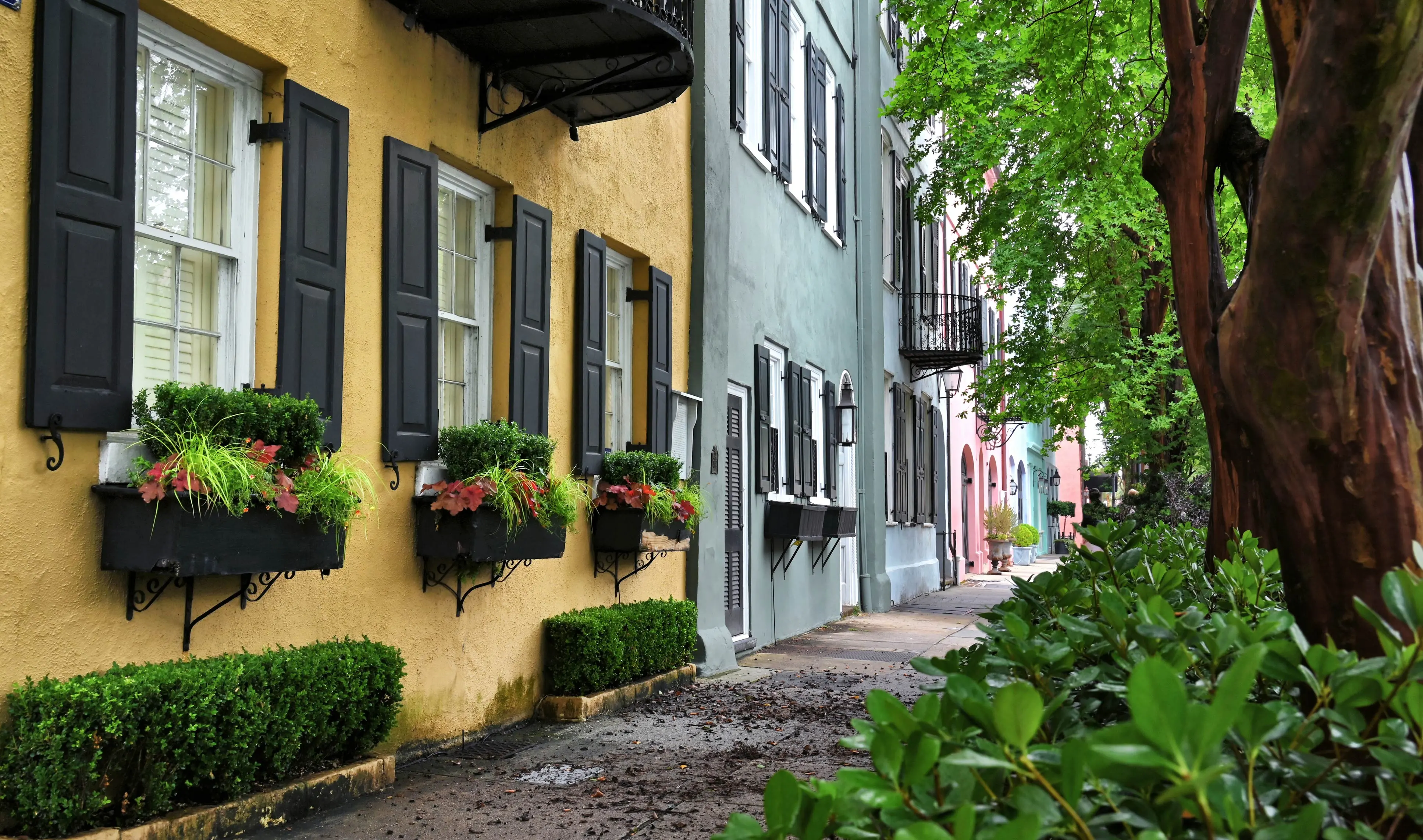 Revelry Tours in Charleston