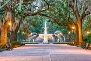 Things To Do in Savannah, GA in 2022