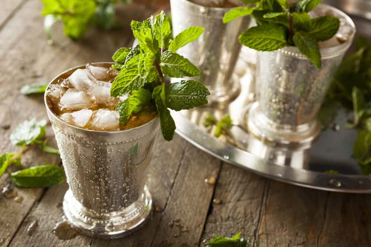 The Mint Julep Cocktail