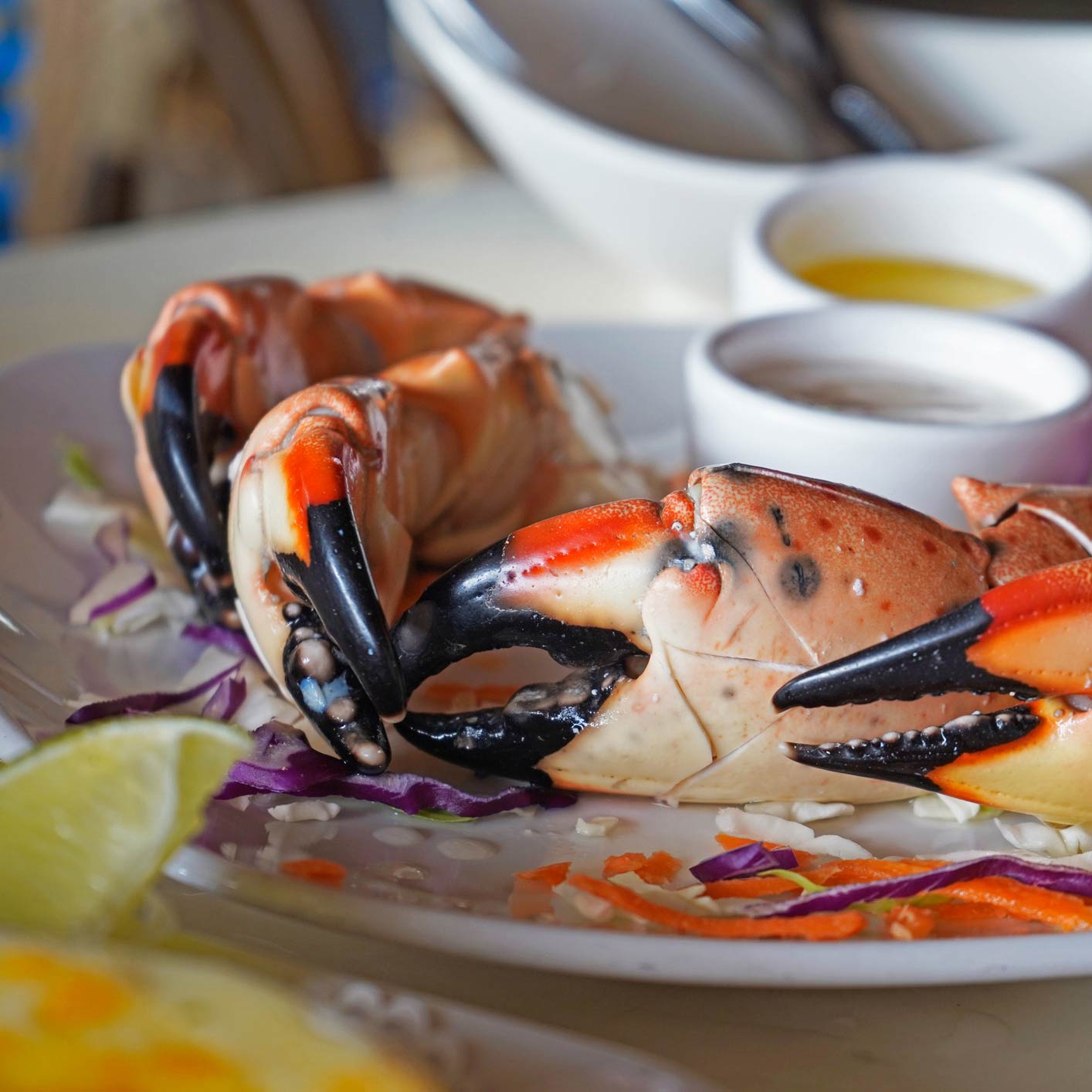 Guests on our Food Tour in West Palm Beach